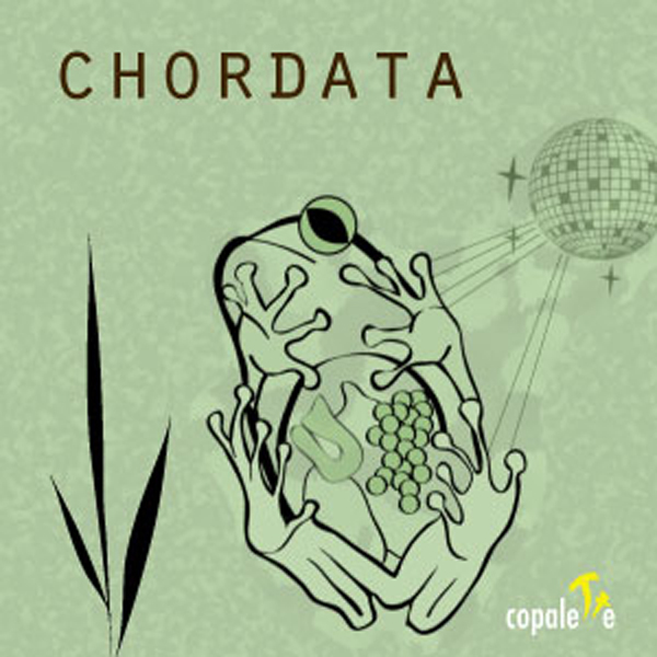 Chordata: Animal Classification Game